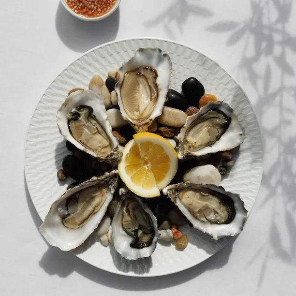 Oysters on a plate at La Terrasse Montaigne