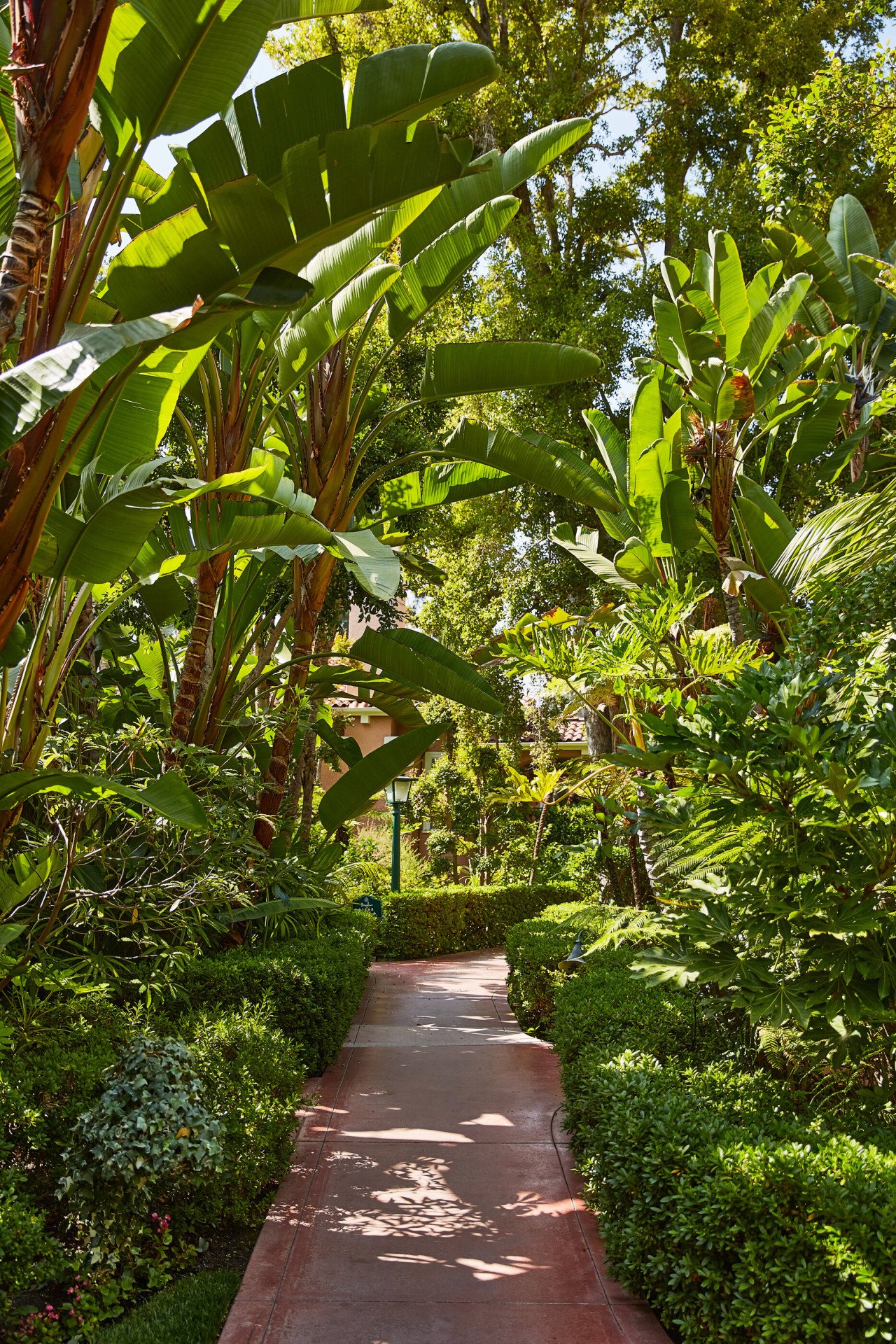 Exterior at The Beverly Hills Hotel, Los Angeles 