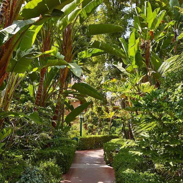 Exterior at The Beverly Hills Hotel, Los Angeles