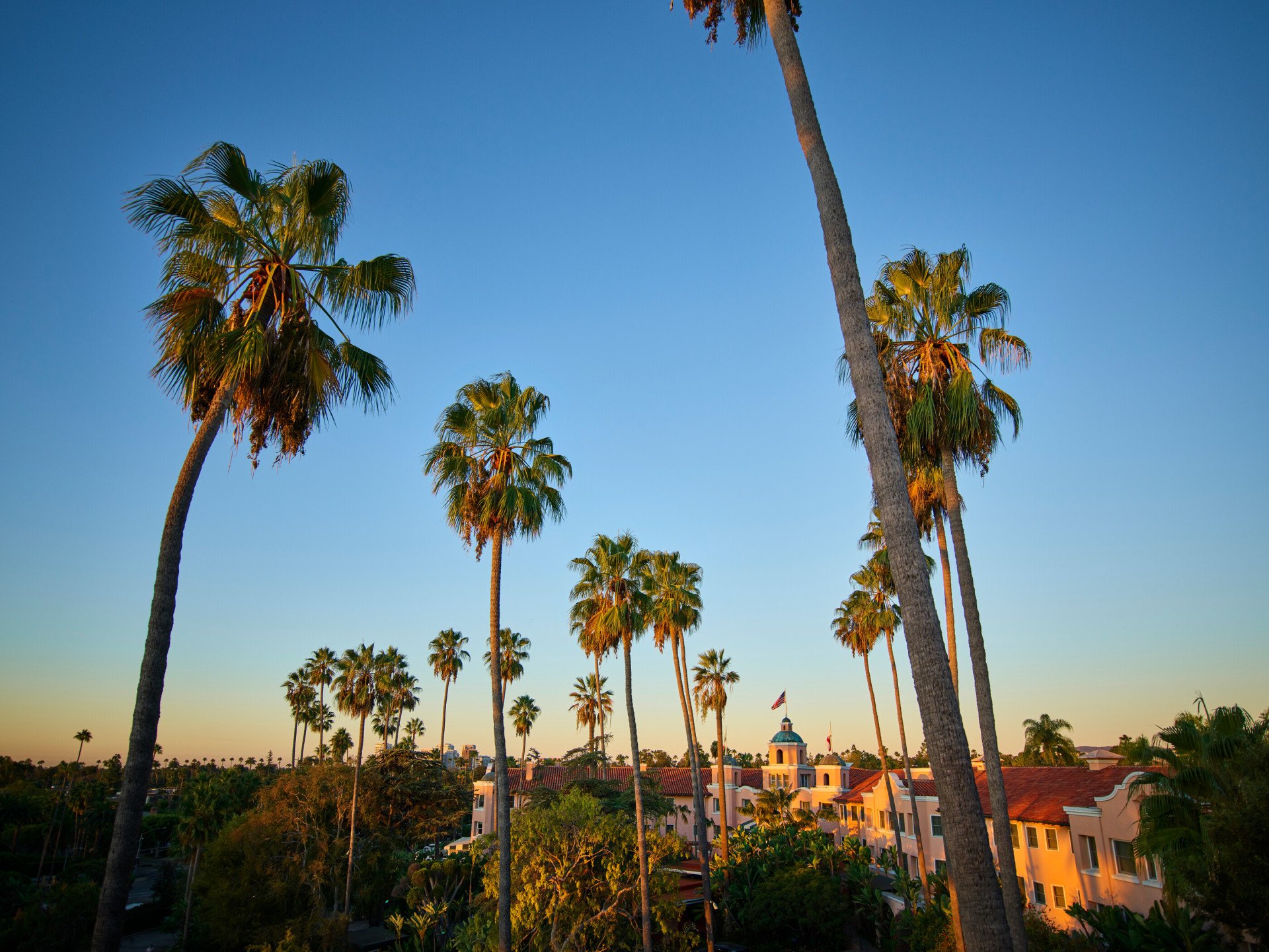 Photo of the hotel facade and palm tree skyline at The Beverly Hills Hotel 