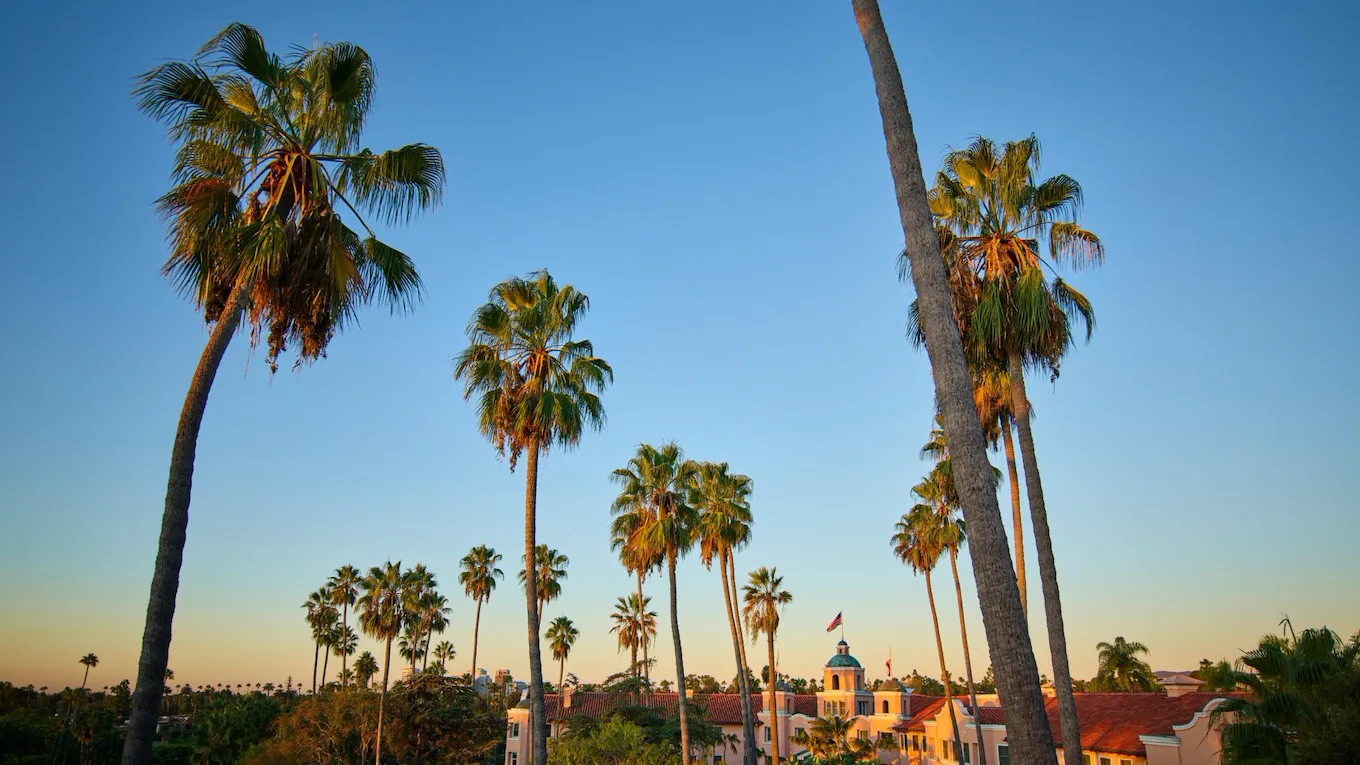 Photo of the hotel facade and palm tree skyline at The Beverly Hills Hotel