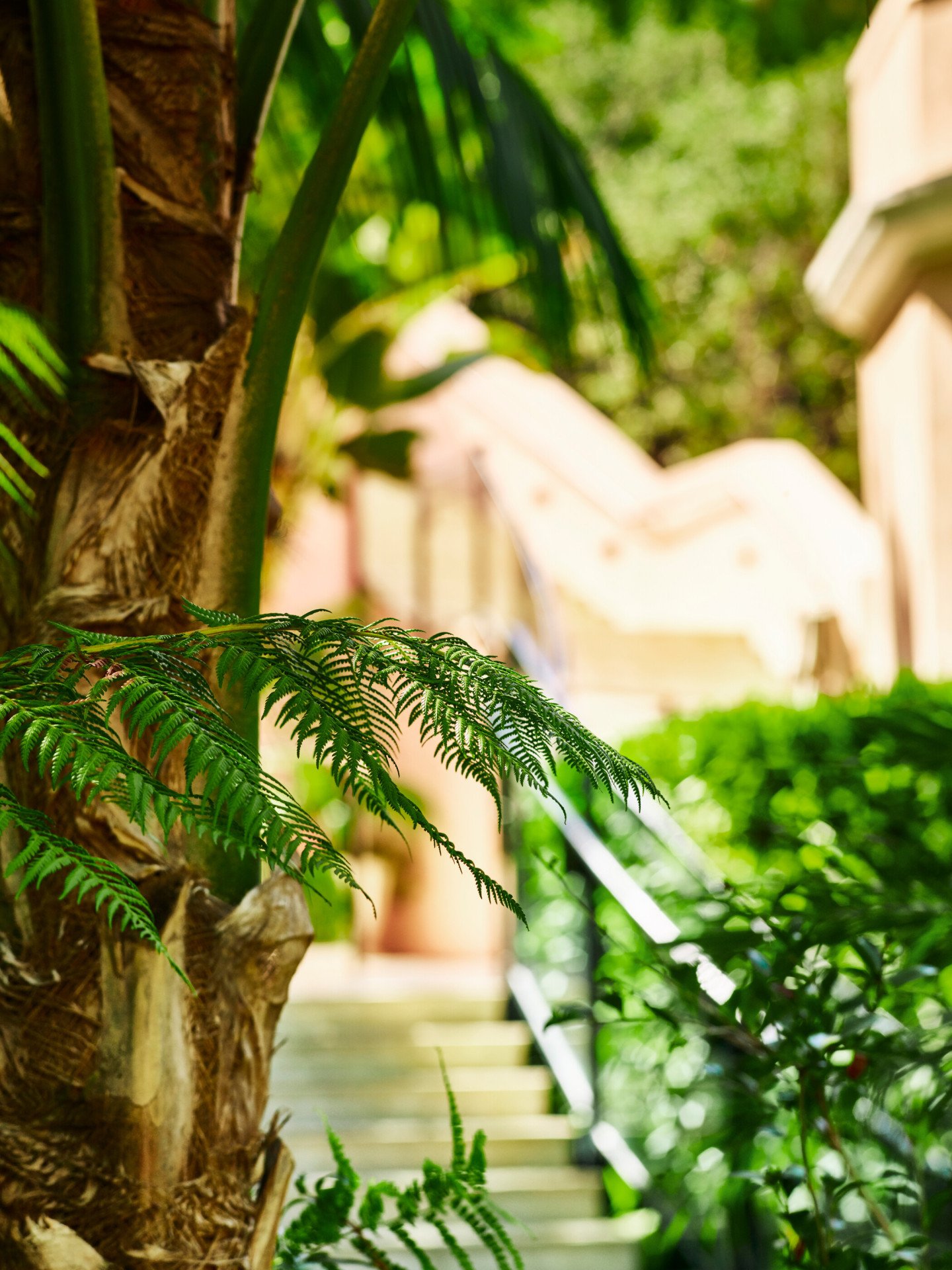 Stairway to canyon suites at Hotel Bel-Air