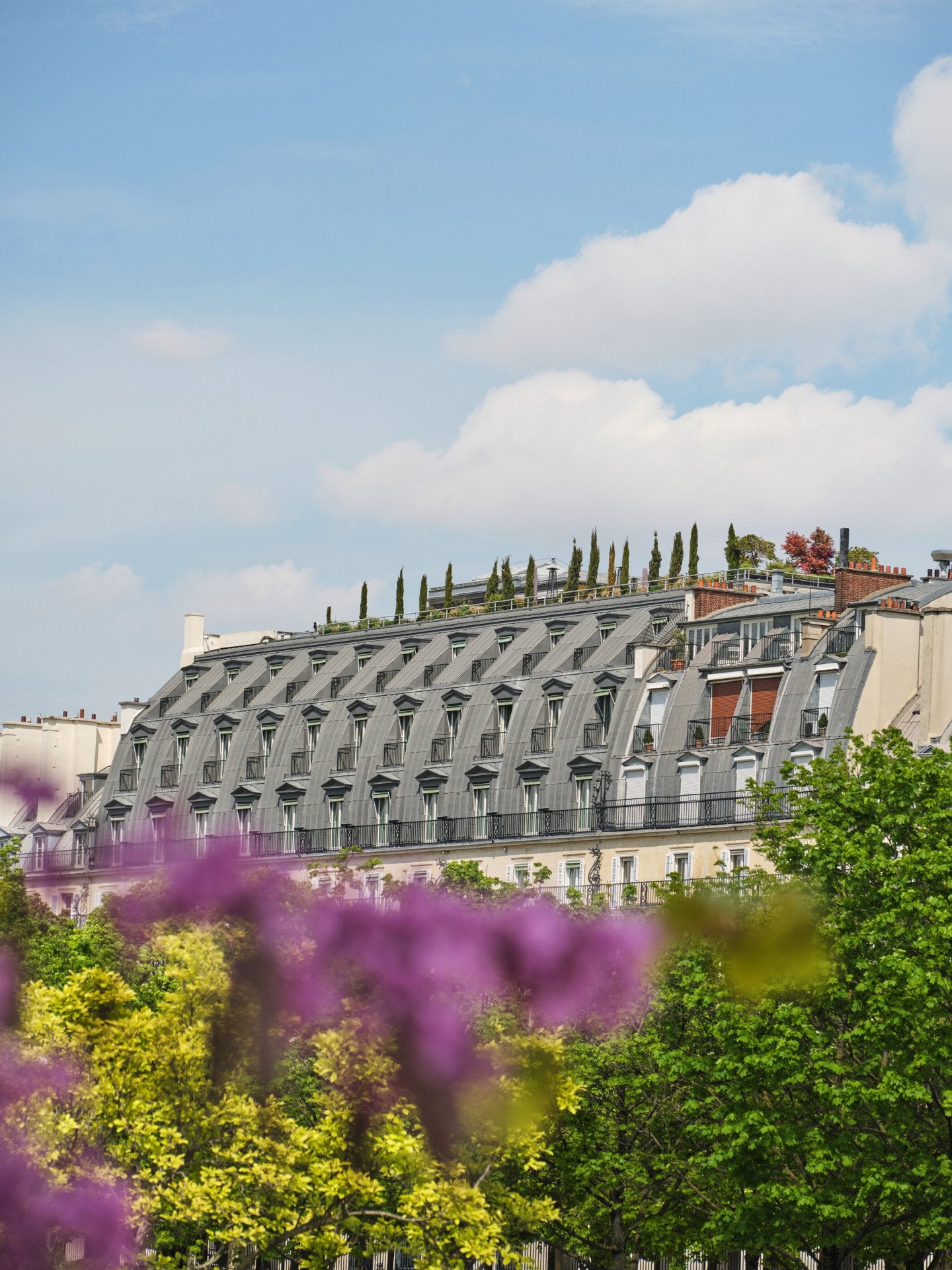 View on the roof of the hotel with in first plan the trees and violet flowers, at Le Meurice, Paris