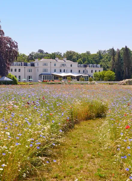 The Meadow at Coworth Park in the Summer