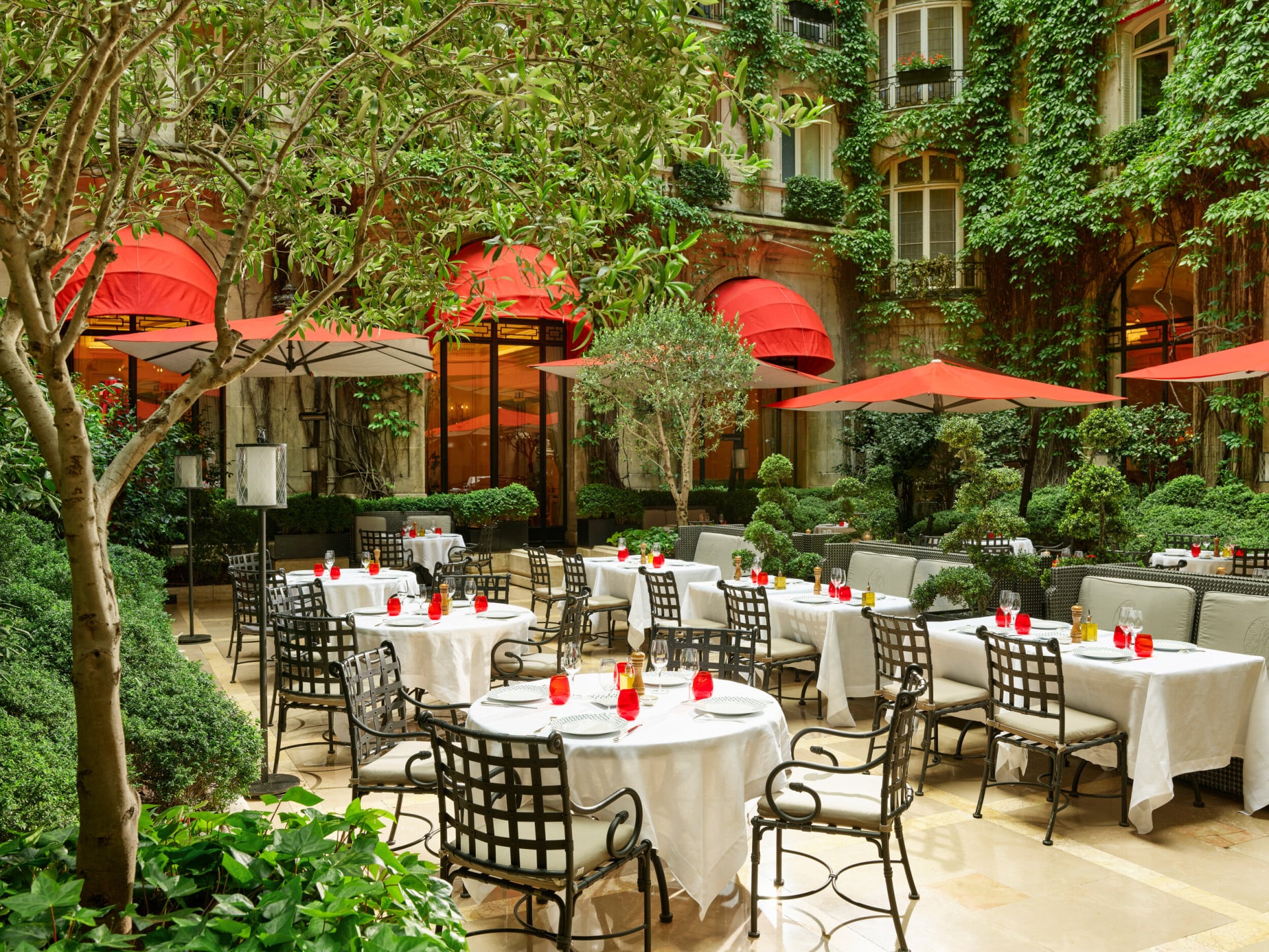 Terrace of La Cour Jardin with drawn up tables, iconic red parasols, green vine and trees seen from the side, at Hotel Plaza Athénée, Paris