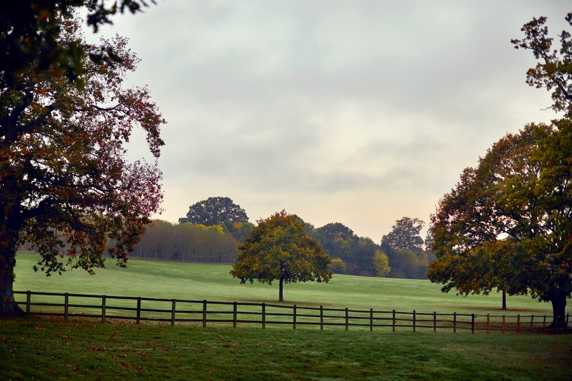 Coworth Park-Autumn grounds-trees-highres