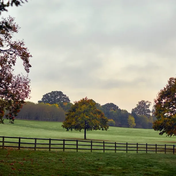 Coworth Park-Autumn grounds-trees-highres