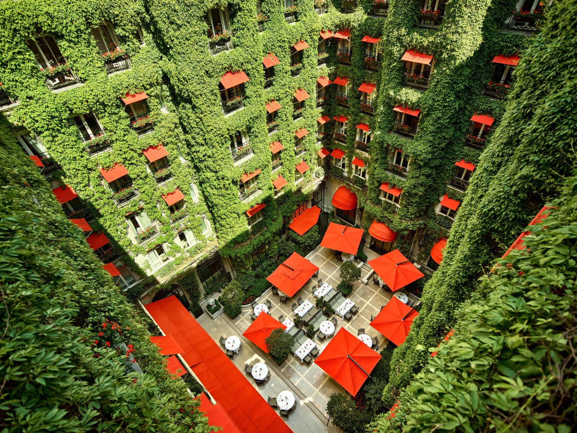 La Cour Jardin Courtyard green vine, red awnings and parasols seen from above, at Hotel Plaza Athénée, Paris