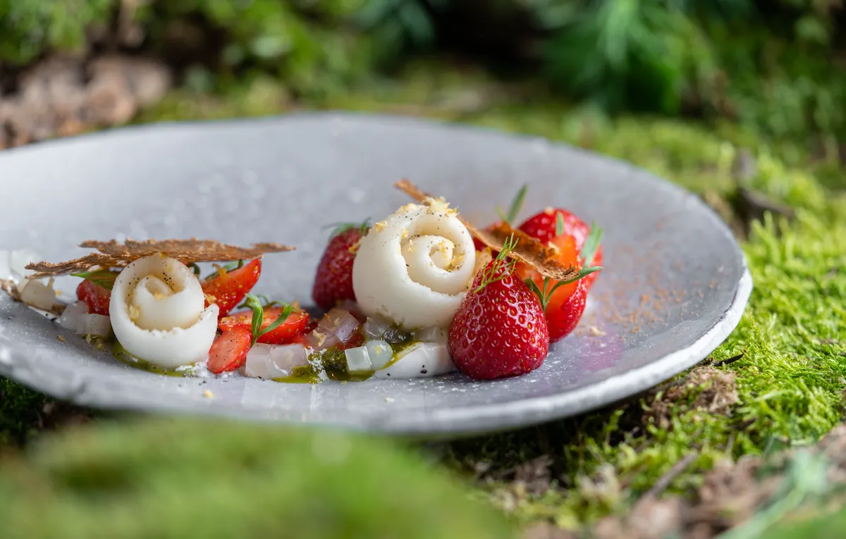 Dessert with strawberries and icream on grey plate with green background