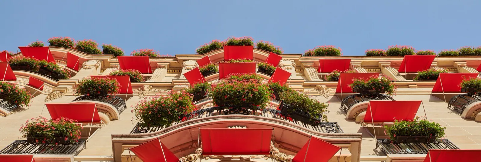 Photo of Hôtel Plaza Athénée's façade seen from below with geraniums in Paris