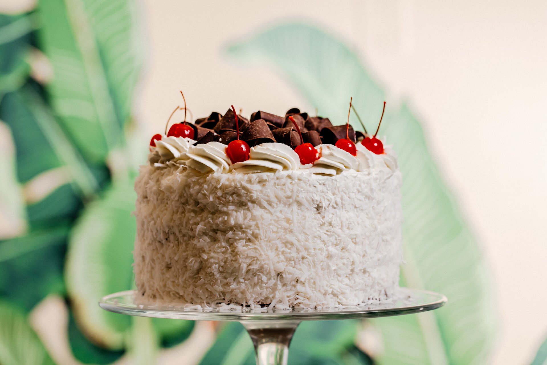 Cake from the Fountain Coffee Room at The Beverly Hills Hotel 