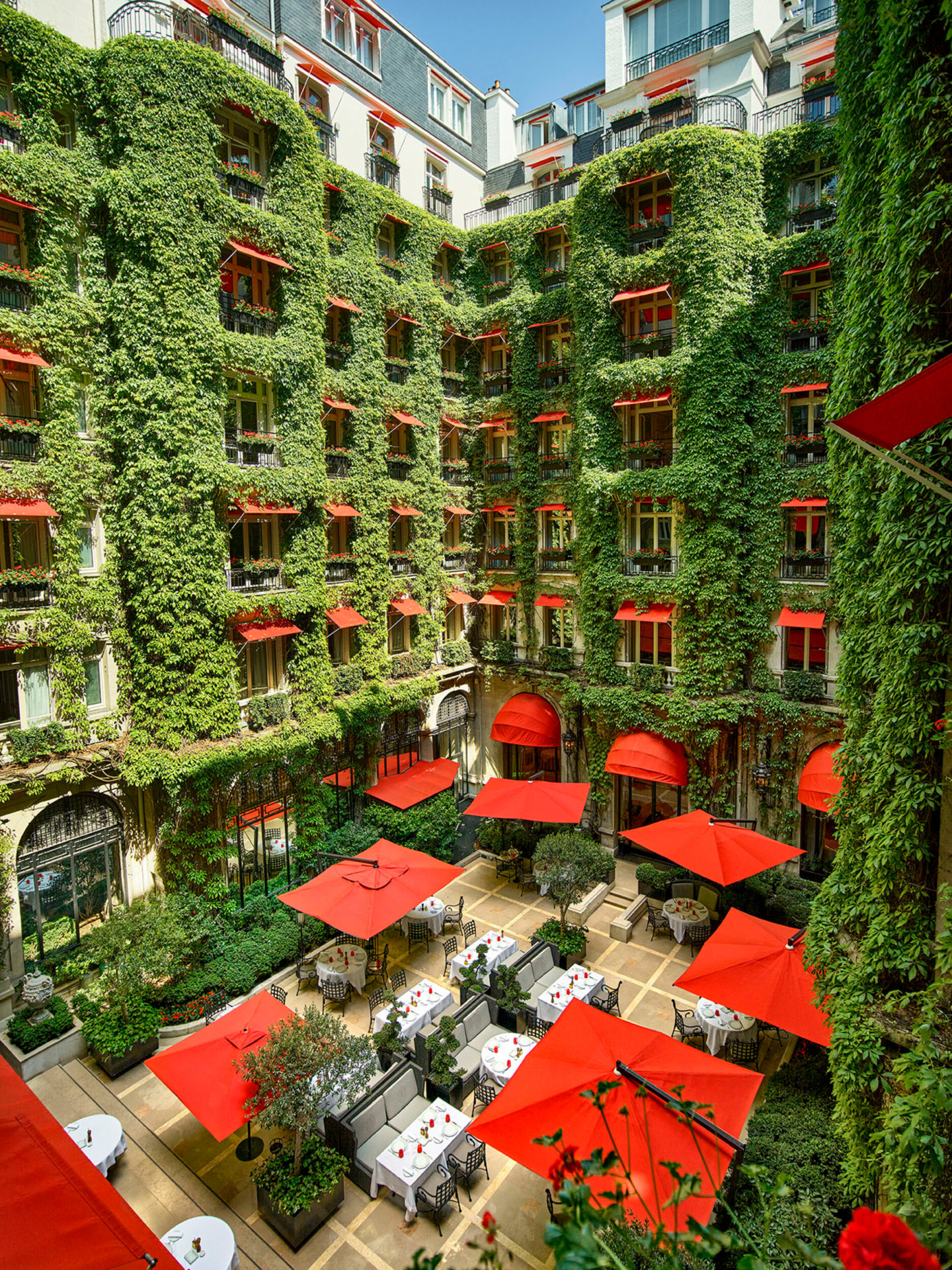 La Cour Jardin Courtyard green vine, red awnings and parasols seen from above, at Hotel Plaza Athénée, Paris