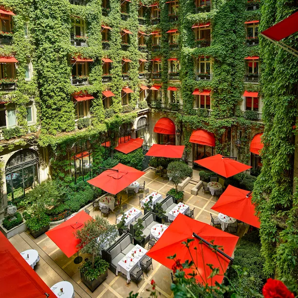 La Cour Jardin Courtyard green vine, red awnings and parasols seen from above, at Hotel Plaza Athénée, Paris