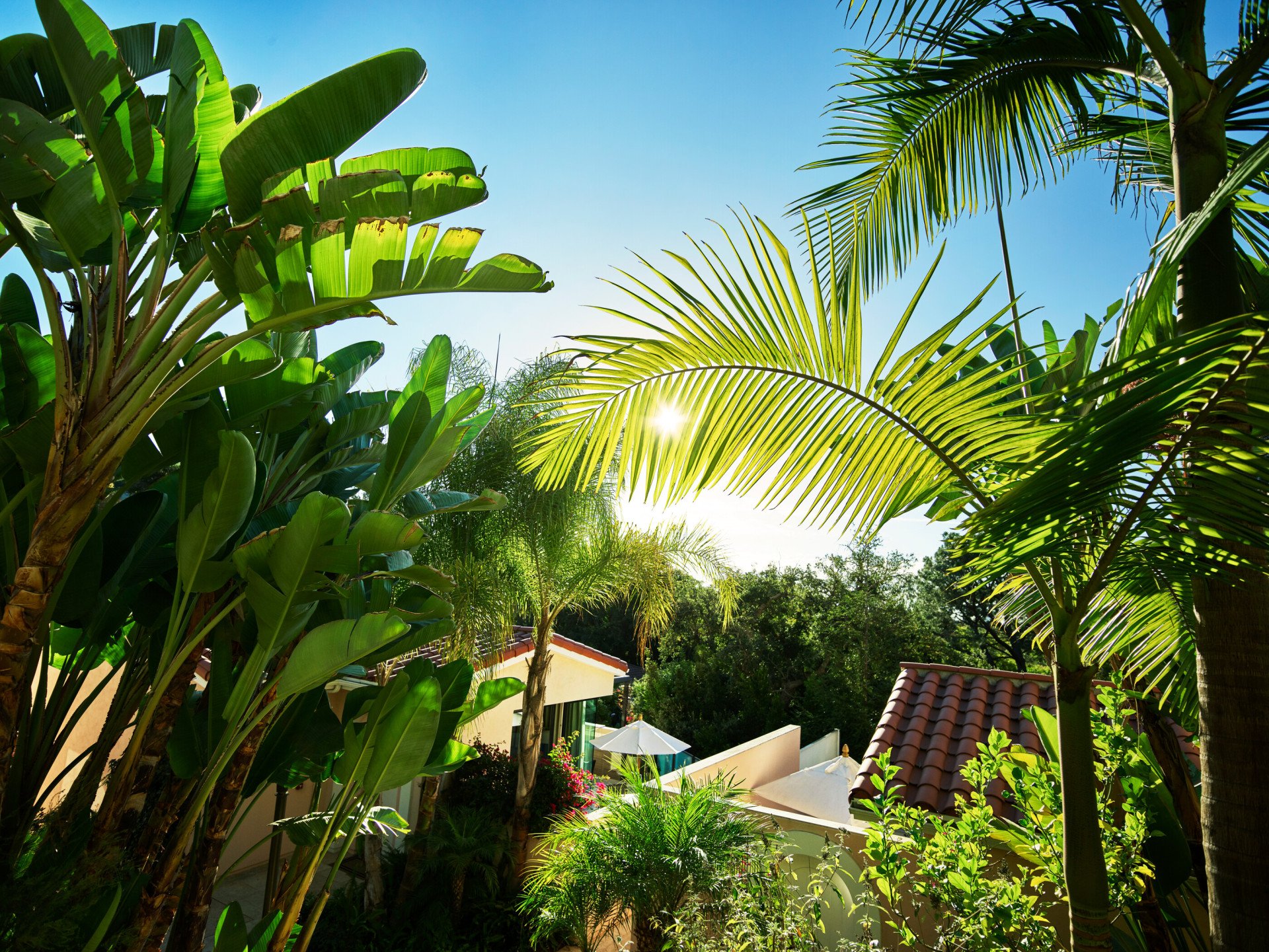 Aerial view of canyon section at Hotel Bel-Air