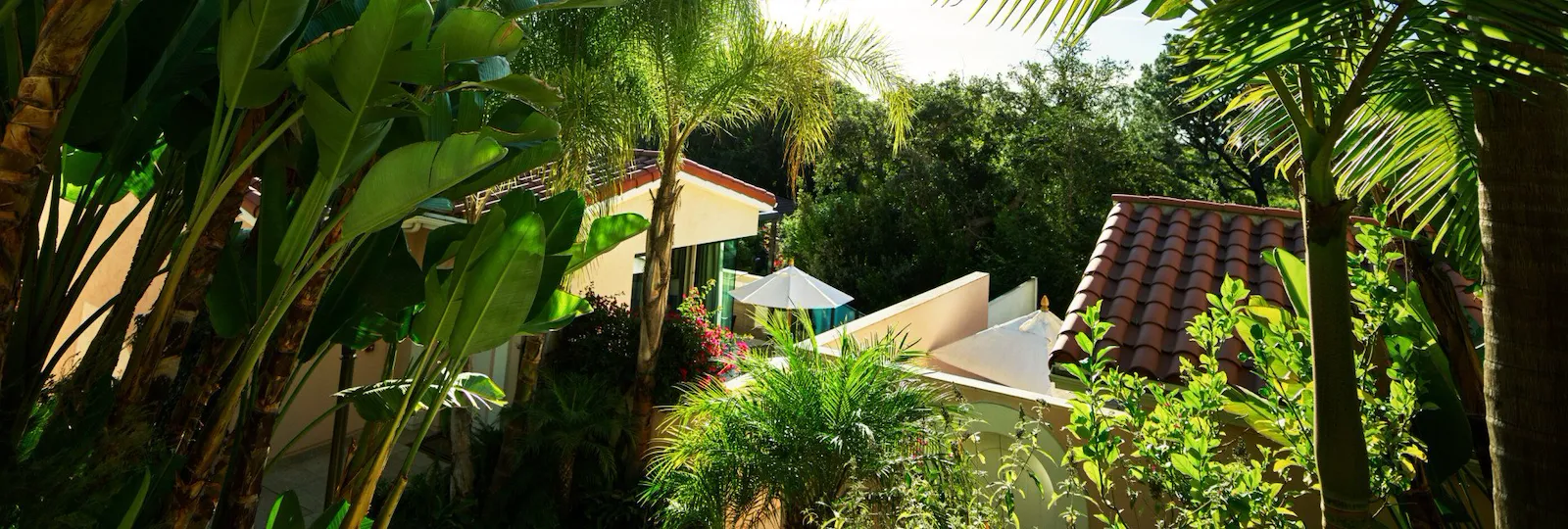 Aerial view of canyon section at Hotel Bel-Air