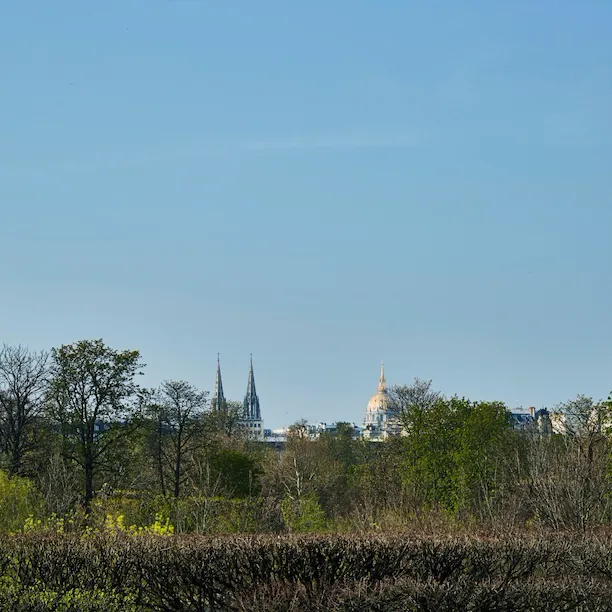 View from the Heritage Suite, with a clear sky and trees in the forefront of the picture. At Le Meurice, Paris.