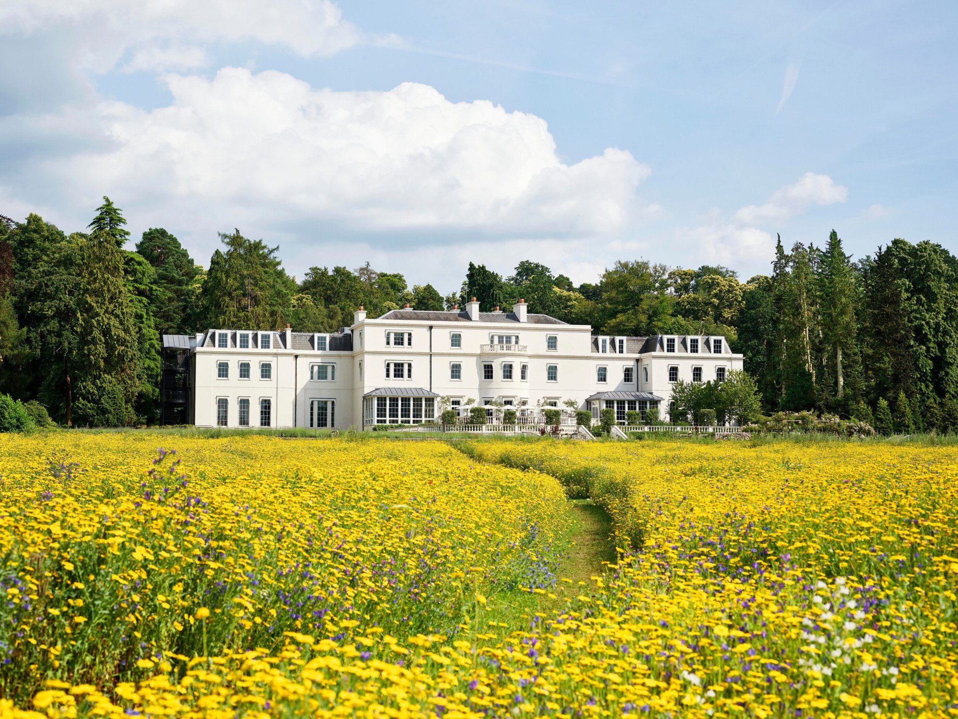 Exterior facade of Coworth Park with yellow wildflower meadow in front, Ascot