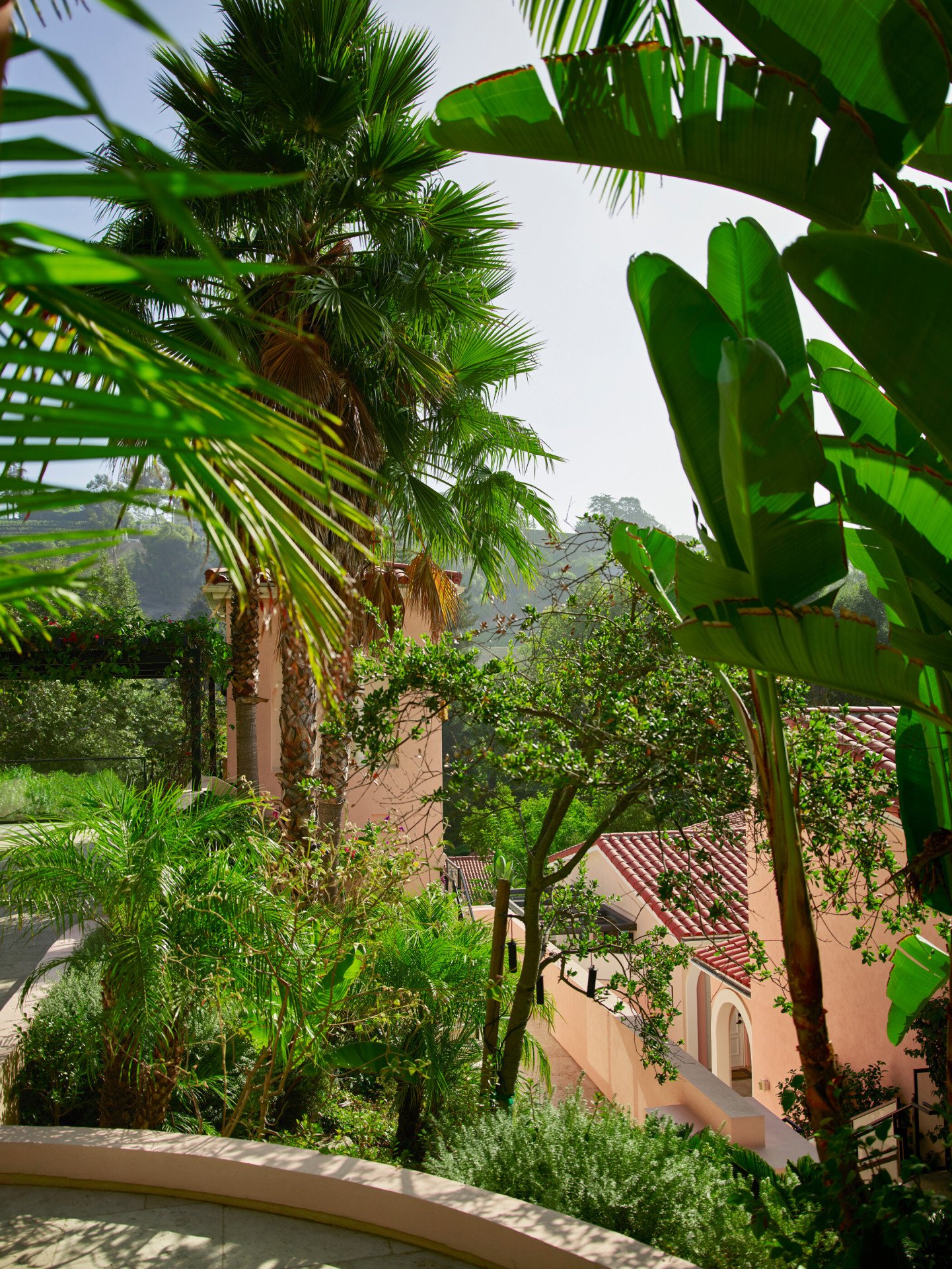 Canyon views of greenery and rooftops at Hotel Bel-Air