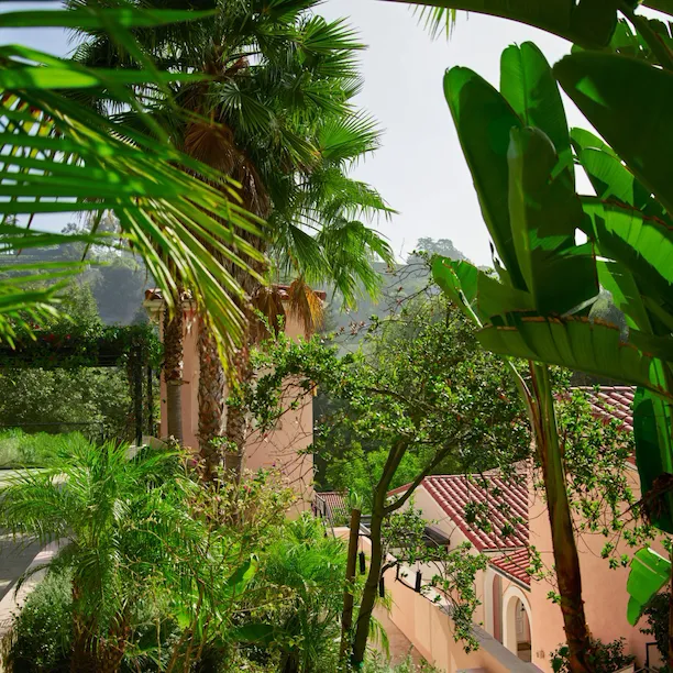 Canyon views of greenery and rooftops at Hotel Bel-Air