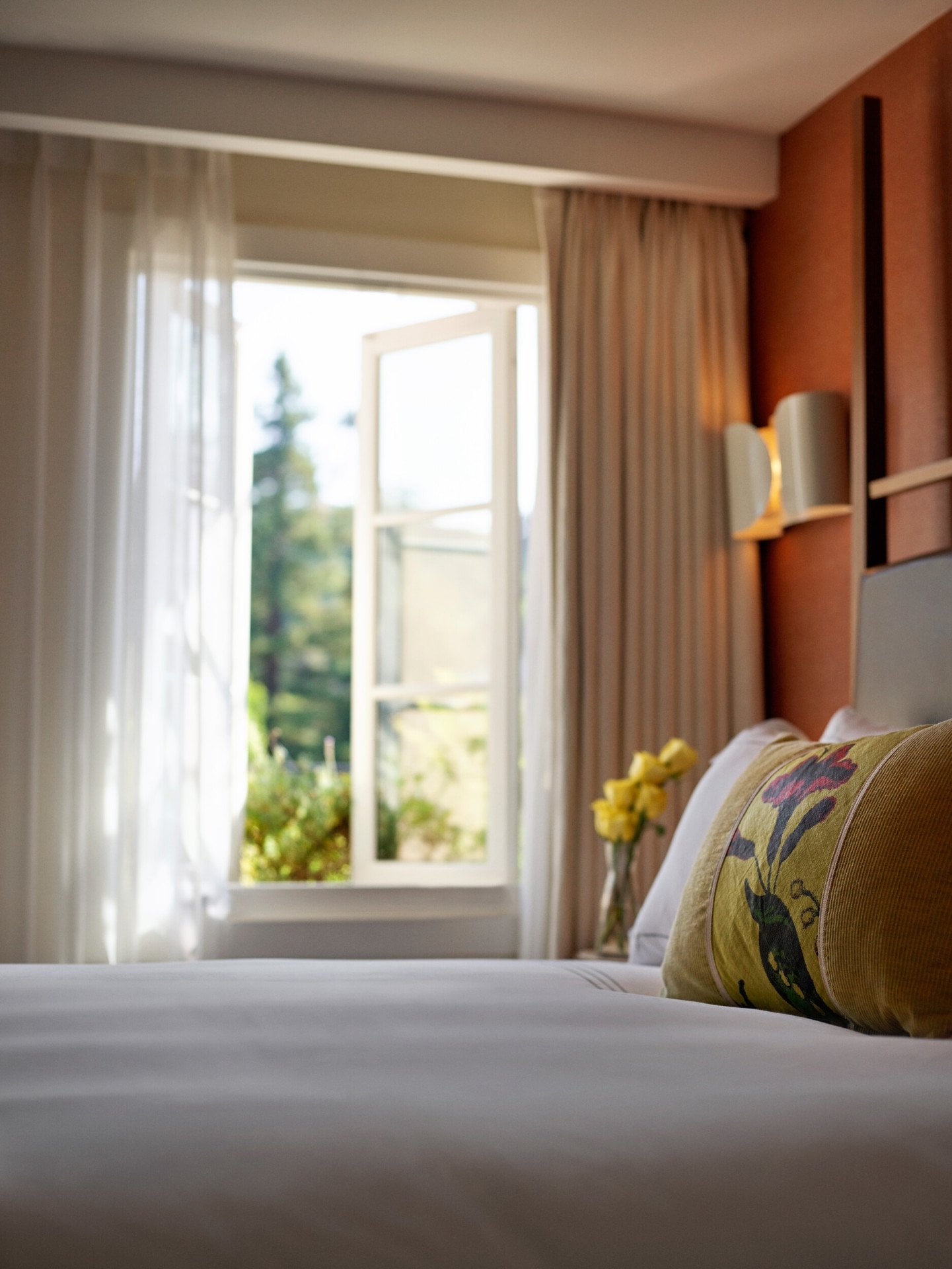 HBA_CANYON_SUITE_265_056_v2_RGB_HR