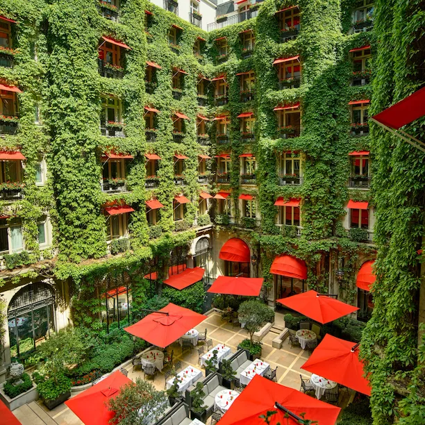 La Cour Jardin Courtyard green vine, red awnings and parasols seen from a room window, at Hotel Plaza Athénée, Paris