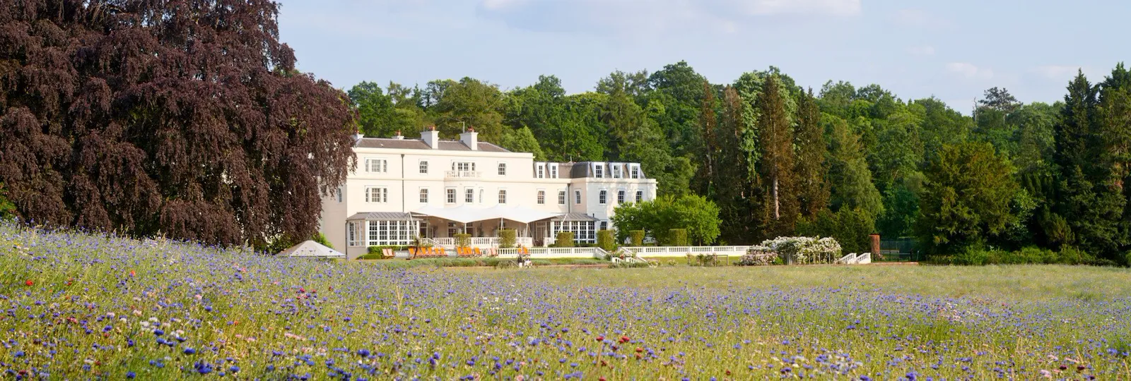 The Meadow at Coworth Park in the Summer