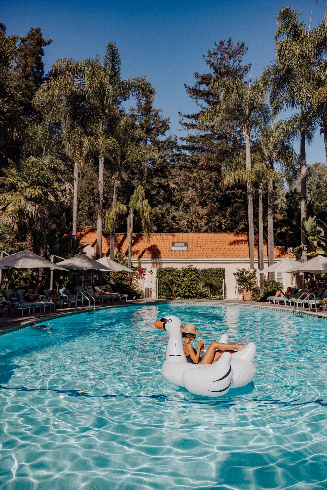 Pool moment with cocktails 