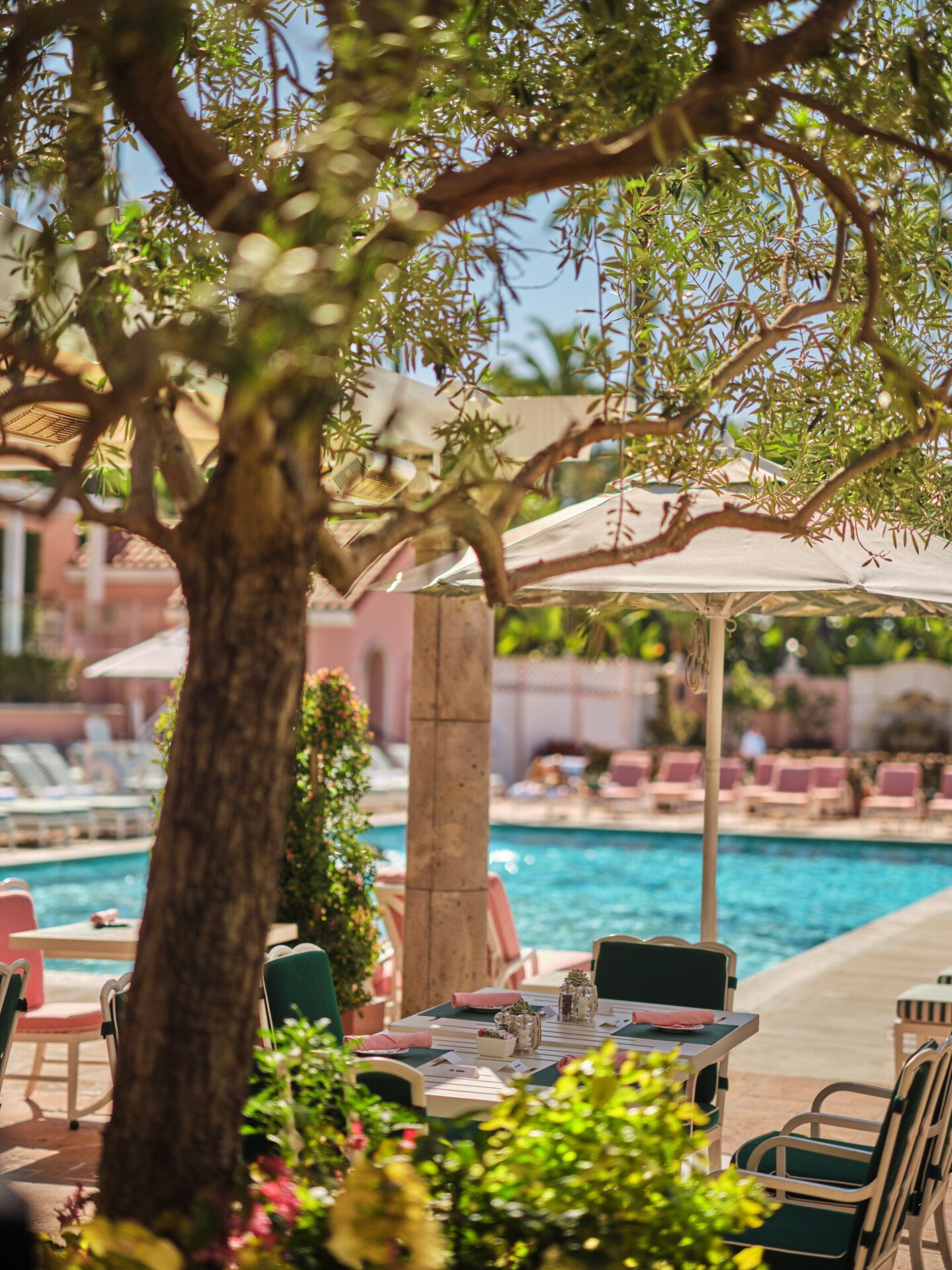 cabana café pool-facing table moment