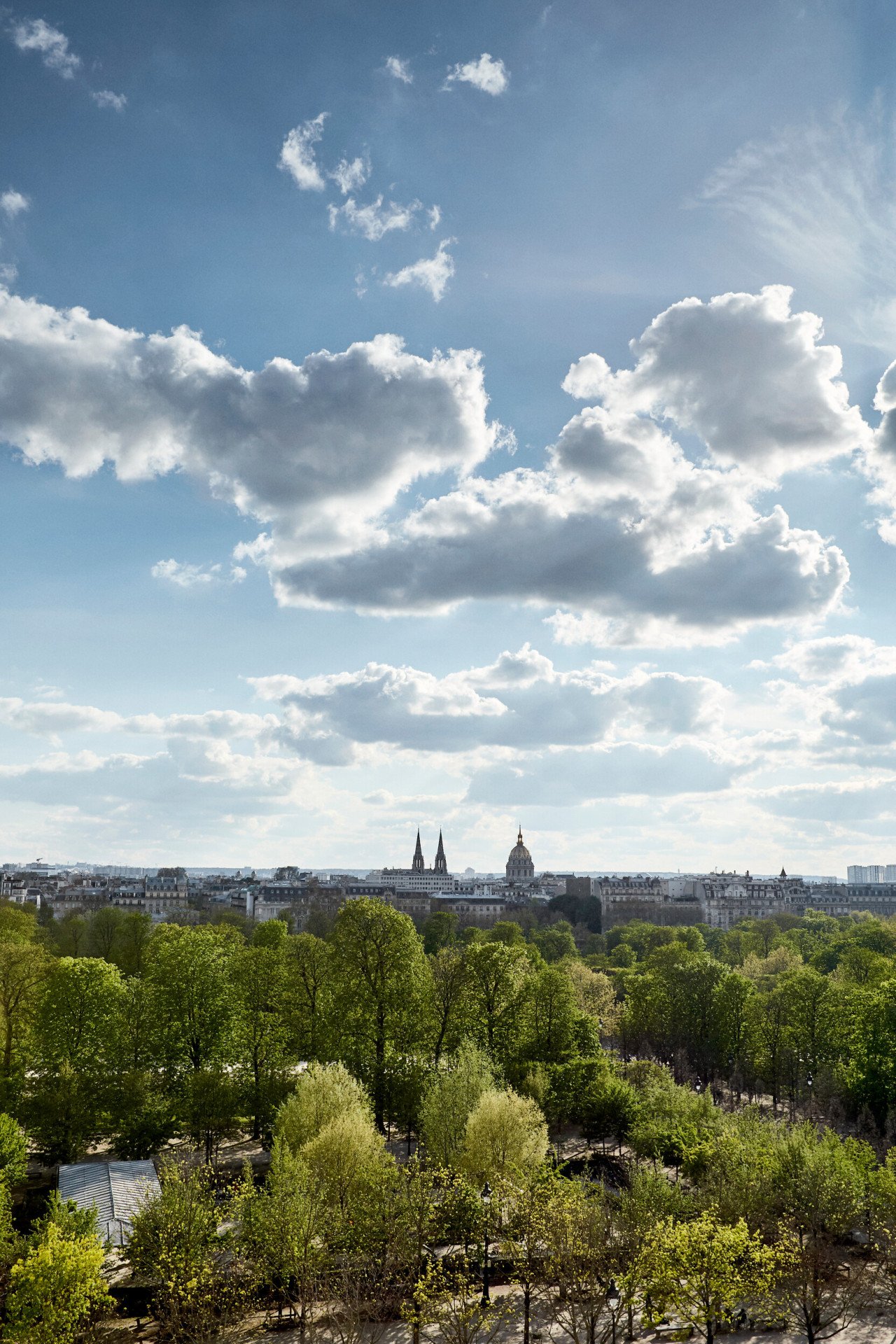 View from an executive room park side, with the Tuileries Garden, and the city in the background. At Le Meurice, Paris.