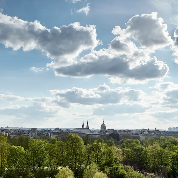 View from an executive room park side, with the Tuileries Garden, and the city in the background. At Le Meurice, Paris.